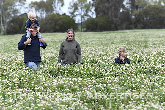 Maroona farmers Jack and Celia Tucker and their sons James, 6, and Johnny, 4, in a multi-species preenial pasture crop.