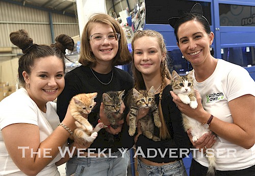Kaycee Bould, Lily Adler, Rian Warrick and Kristy Kelly with kittens at Adopt a Pet at Petstock.