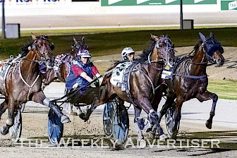 INJURY: Kerryn Manning’s star two-year-old trotting gelding wins the Group One Vicbred Super Series final at Melton four days before suffering a serious injury in trackwork. Picture: STUART McCORMICK RACEDAY PHOTOS